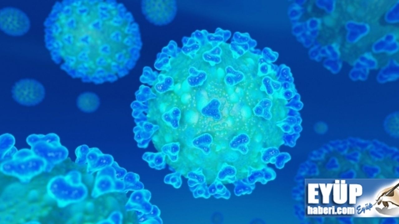 Dünya Sağlık Örgütü'nden korkutan Koronavirüs açıklaması: Asla gitmeyebilir