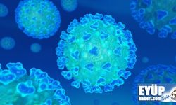 Dünya Sağlık Örgütü'nden korkutan Koronavirüs açıklaması: Asla gitmeyebilir