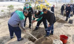 Bursa KAYAPA OSB’ye 1000 adet fidan dikimi