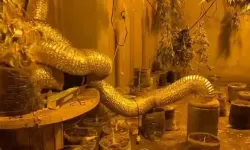 Bursa’da Jandarmadan uyuşturucu tacirlerine büyük darbe