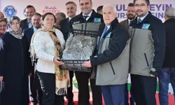 Bursa'dan çiftçiye 1,2 milyon adet çilek fidesi
