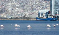 İzmir’in iklim krizi ile mücadelesi güçleniyor