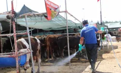 Antalya Büyükşehir kurban satış noktalarını ilaçlıyor