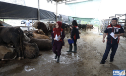 Kurban satış ve kesim yerlerine sıkı denetim...