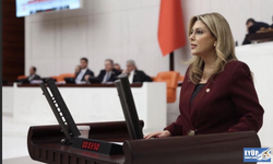 Giresun Milletvekili Gezmiş'ten TBMM'de Eğitim çıkışı!