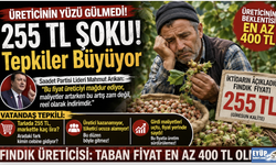 Fındıkta 255 TL Şoku! Üretici 'En Az 400 TL' diyor; Vatandaş tepkili...