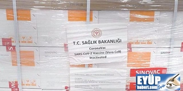 Çin aşısı geldi, Ne zaman yapılacak?