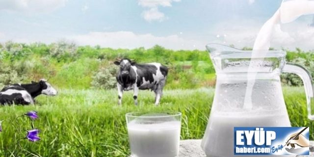 Süt ve Süt Ürünleri Üretimi, Mayıs 2021 istatistikleri