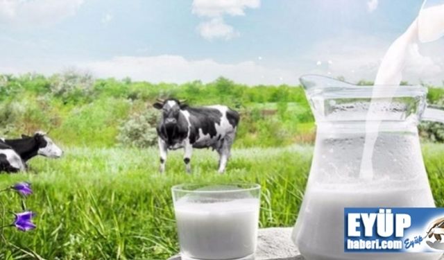 Süt ve Süt Ürünleri Üretimi, Mayıs 2021 istatistikleri