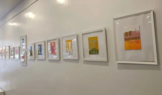 Türk Sanatçı Şule Sayan’ın sergisi New York'ta açıldı