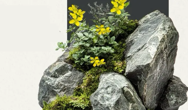 Anadolu'nun yeni keşfi... 'Tüylü Kekreçiçeği' bitki florasına katıldı