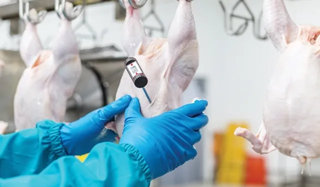 Beyaz et sektöründe rekabet ihlali! 3,7 milyar TL ceza ve sektörel düzenleme