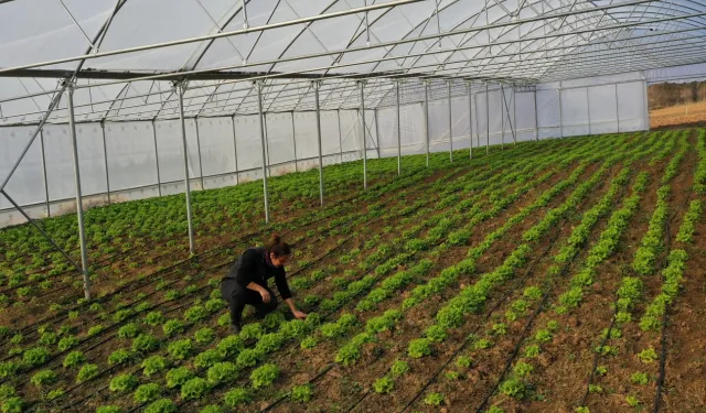 Kocaeli Büyükşehir’den çiftçilere modern sera desteği