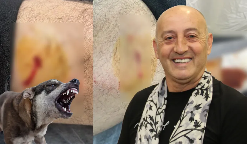 Gemlik Karacaali Muhtarı'na sokak köpeklerinden saldırı!