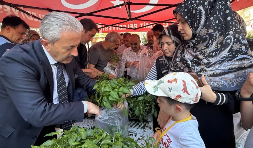 Kocaeli İzmit Belediyesinden halka fide desteği