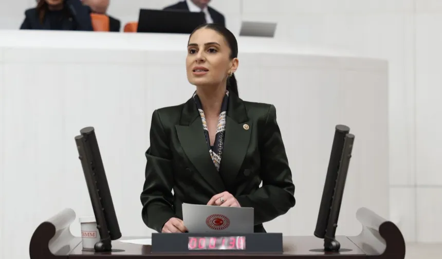 Milletvekili Özcan'dan sokak hayvanları için Bakan Yumaklı’ya önerge