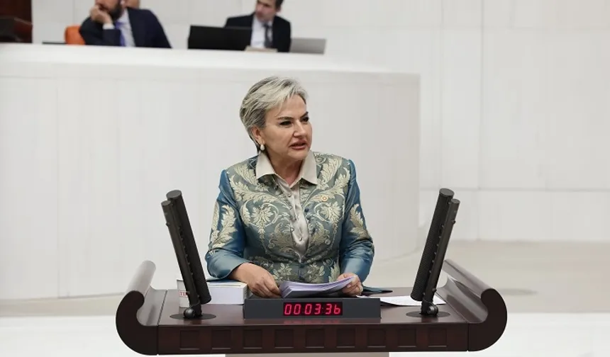 Milletvekili Özdemir öğrencilerin aç okula gitmesini TBMM'ye taşıdı