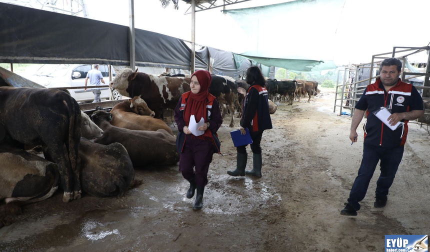 Kurban satış ve kesim yerlerine sıkı denetim...