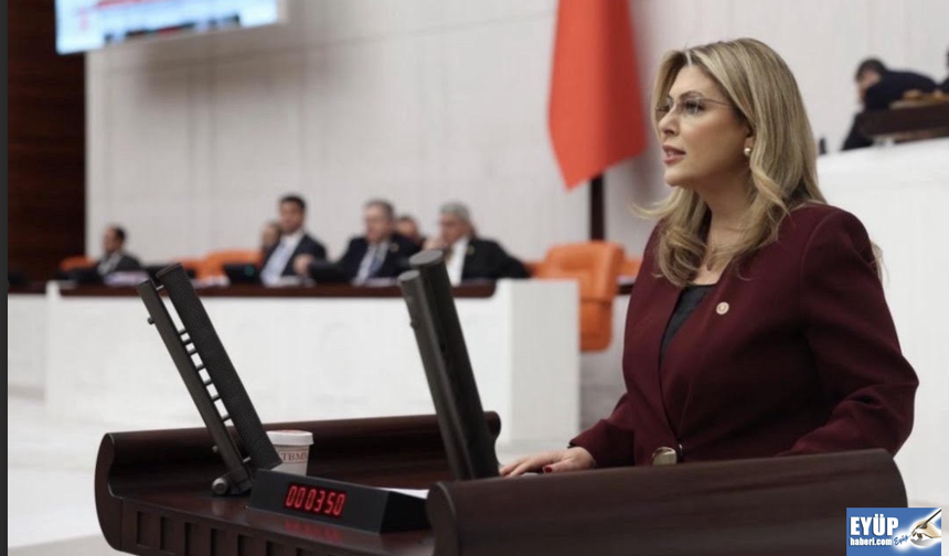 Giresun Milletvekili Gezmiş'ten TBMM'de Eğitim çıkışı!