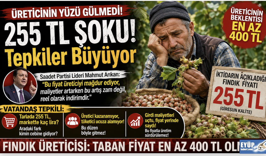 Fındıkta 255 TL Şoku! Üretici 'En Az 400 TL' diyor; Vatandaş tepkili...
