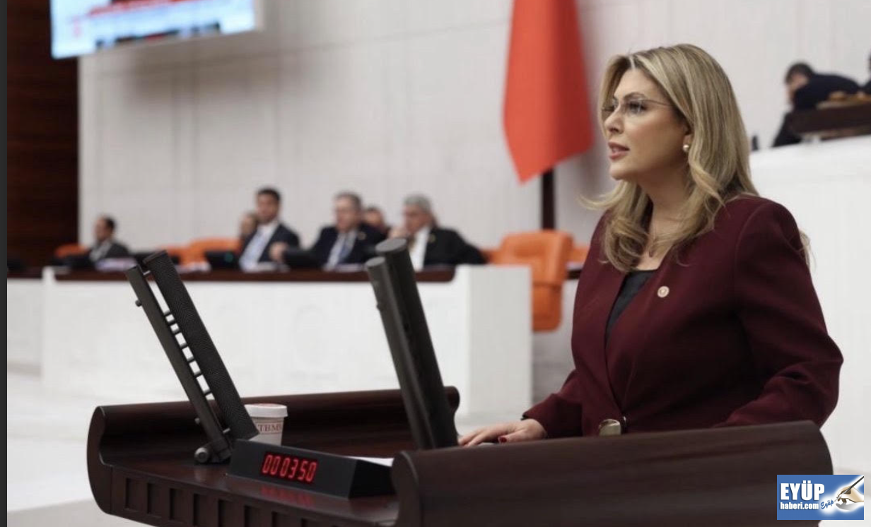 Giresun Milletvekili Gezmiş'ten TBMM'de Eğitim çıkışı!